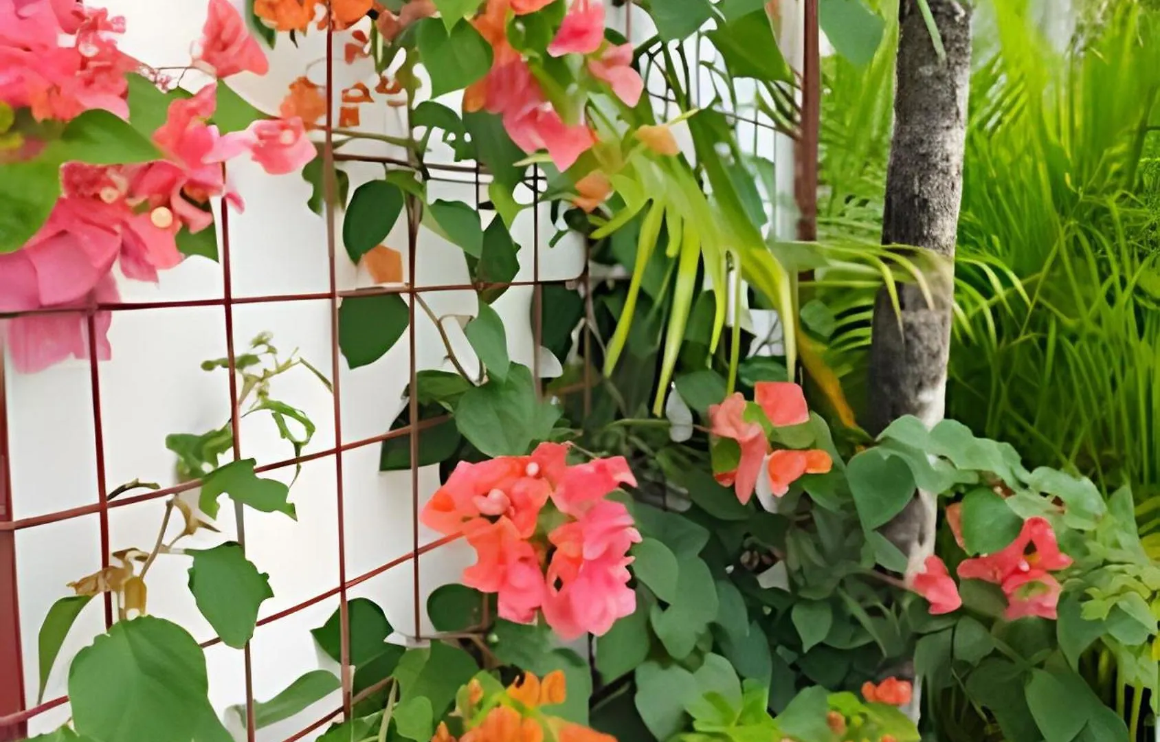 Bayahibe Rose C - Gray Elegance Apartment San Rafael del Yuma 0*,  Dominican Republic